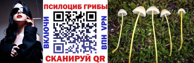 Псилоцибиновые грибы Magic Shrooms  Купить закладки  Кедровый 