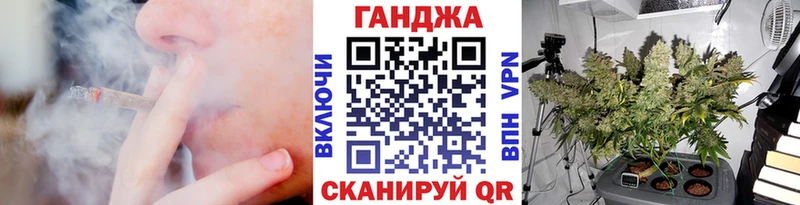 Купить где  Кедровый  Каннабис гибрид 